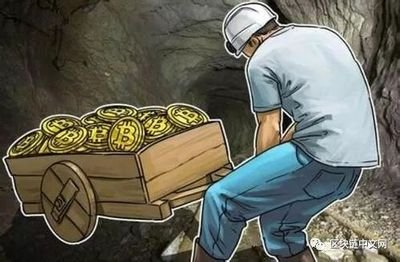 An intricate view of a mining rig setup in a professional hosting environment, highlighting efficiency and earnings potential