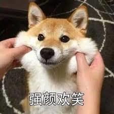 Dogecoin mining